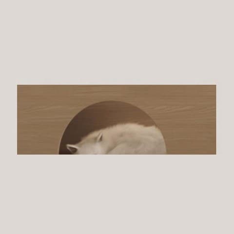 拱形翻門
